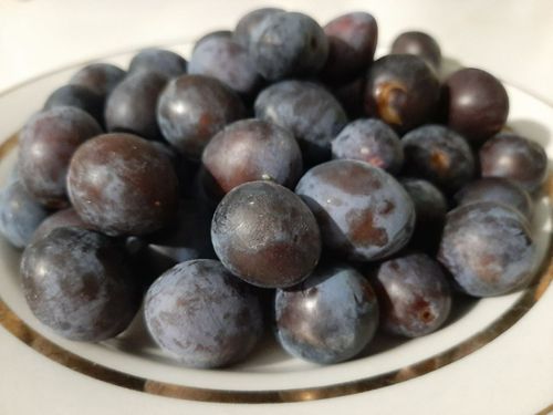 Фото пресс-службы ФГБУ «ЦОК АПК»